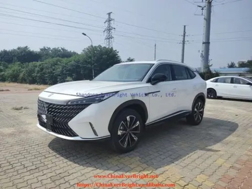 Hot Sale High Speed Electric Car Electric SUV Max Speed 135km/h