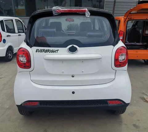 Passenger Mini Electric Car Made In China