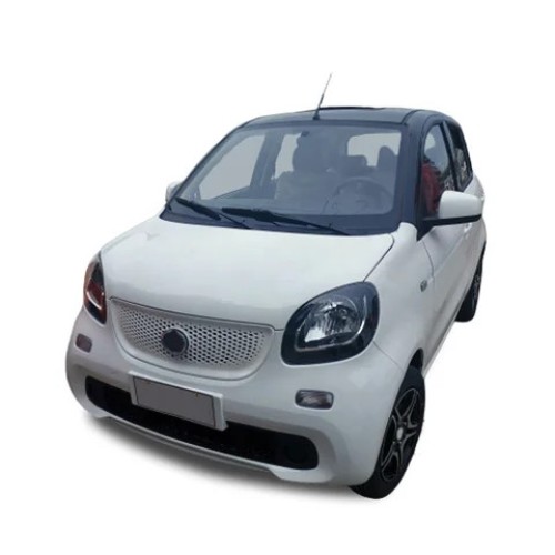 Passenger Mini Electric Car Made In China