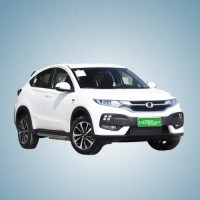 2021 hot sale  Promotion Low price car electric car made in china vehicle cheap electric vehicle load 4-6 person 4 wheel new car