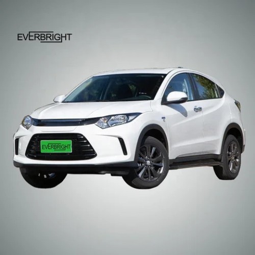 Chinese 5 Seats High Speed  Electric SUV  Electric Vehicles New Energy car 140km/h