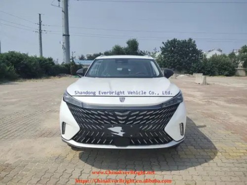 Hot Sale High Speed Electric Car Electric SUV Max Speed 135km/h