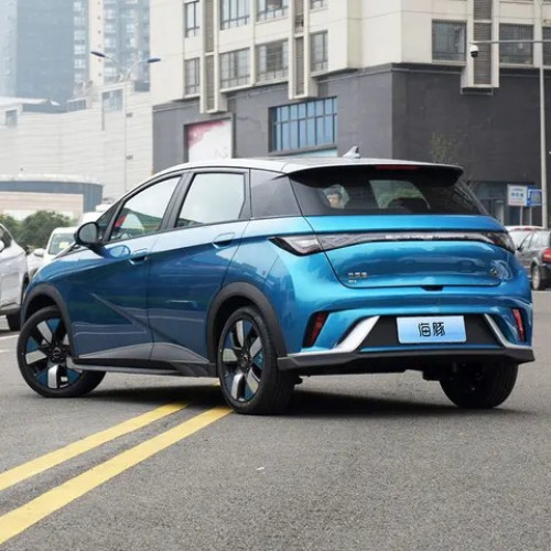 BYD Dolphin EV 2021 2022 byd e2 gs dolphin Electric car Made in China electric car suv byd car price in china