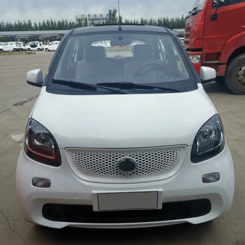 Passenger Mini Electric Car Made In China