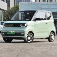 wuling miniev mini ev price 300km wuling mini 2024 2023 2022 2021 air ev price hongguang nano ev airev Auto Electric Car