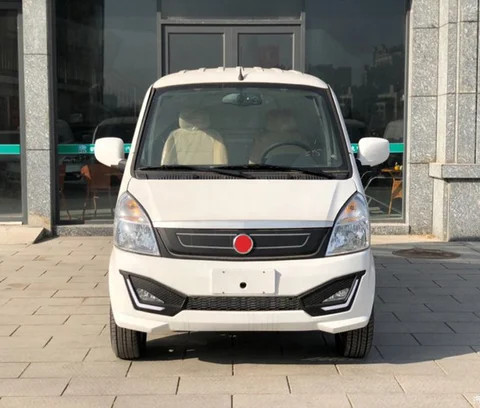 2021Hot Sale High Speed Electric VAN Cargo Car Electric Truck