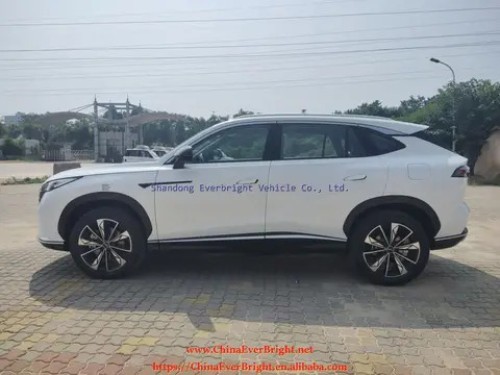 Hot Sale High Speed Electric Car Electric SUV Max Speed 135km/h