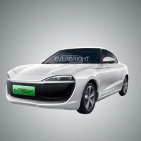 Hot selling 45km/h mini electric car 4 wheeler vehicle E-Car(Euro 4)  High Market Potential