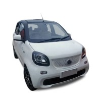 Chinese Everbright Mini High Speed Electric Car EV Car  New Car