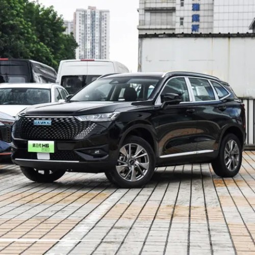 Havel H6 New Energy In Stock 2022 Adult haval New Energy Electric Vehicle High Speed For Sale In China With Five Seats